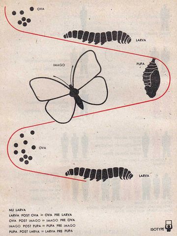s-l1600 (1).jpg