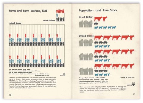 farm and cows.jpg