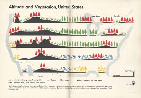 11. Altitute and vegitation in US.jpg