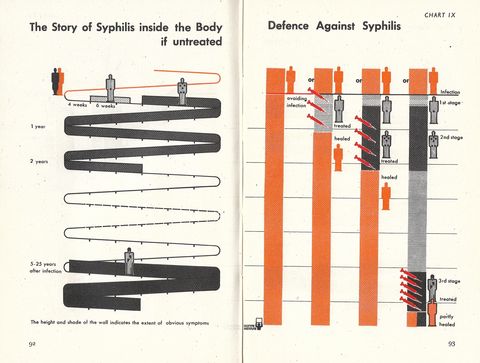 chart 9 - the story of Syphilis inside the body.jpg