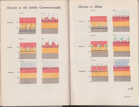 Isotype China 8.jpeg