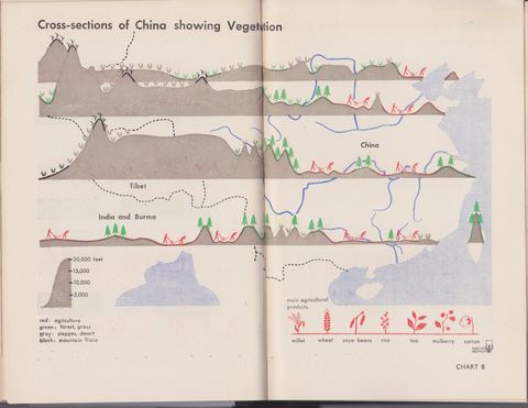 Isotype China 8.jpeg