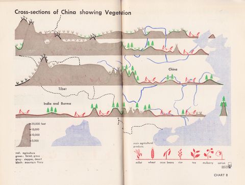 Isotype China -chart8.png