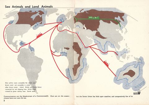 3-Sea Animals and Land Animals.jpg
