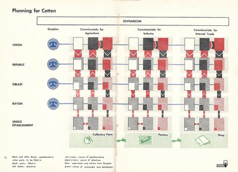 11-Planning of Cotton.jpg