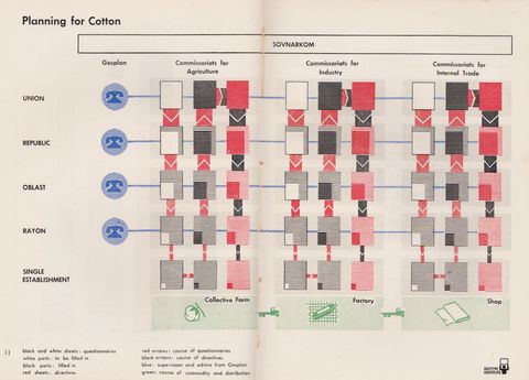 11- Planning for Cotton.png