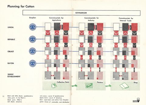 11-Planning of Cotton.png