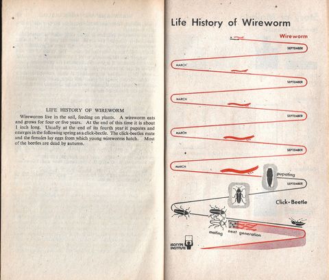 chart1.jpg