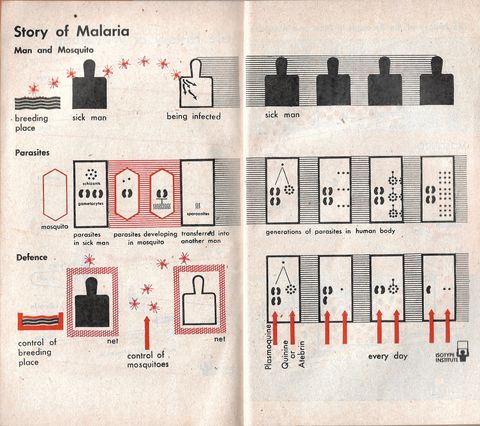 chart2.jpg