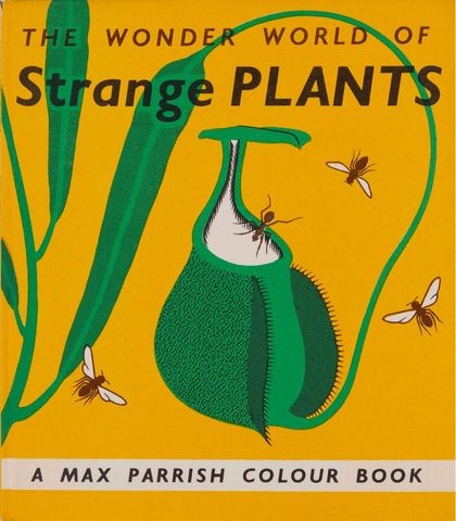 Cover of The wonderful world of strange plants