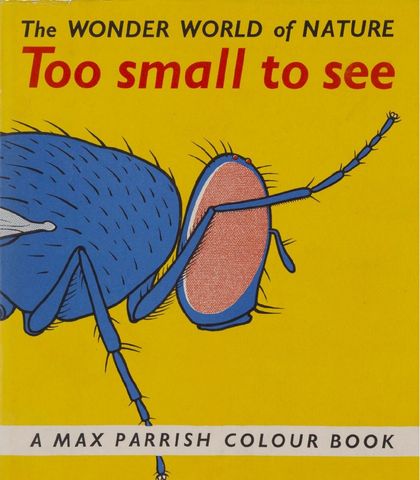 Cover of Too small to see