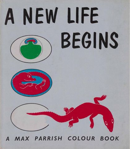 Cover of A new life begins